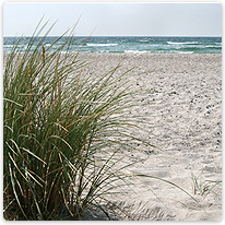 Nordseestrand strand, nordsee